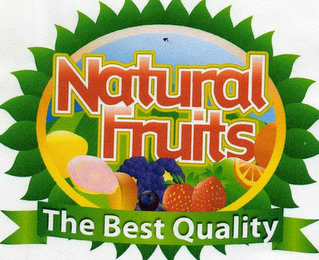 NATURAL FRUITS THE BEST QUALITY logo