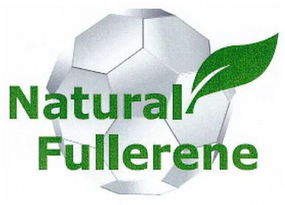 NATURAL FULLERENE logo