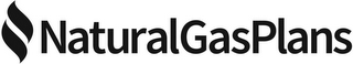 NATURAL GAS PLANS logo