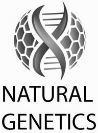 NATURAL GENETICS logo