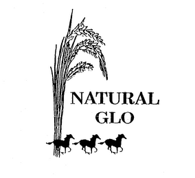NATURAL GLO logo