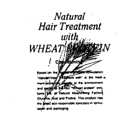 NATURAL HAIR TREATMENT WITH WHEAT PROTEIN CONDITIONING BASED ON THE NATURAL INGREDIENT FORMULATION.  "NATURAL HAIR TREATMENT WITH" IS THE TREATMENT EXTREMELY FRIENDLY TO THE ENVIRONMENT AND GENTLE TO THE HAIR.  "WHEAT PROTEIN" CONTAINS LOTS OF NATURAL MOISTURIZING FACTORS.  GLUTAMIC ACID AND PROLINE.  THIS PRODUCT HAS THE LATEST ECO-RESPONSIBLE CONCEPTS IN FORMULATION AND PACKAGING logo