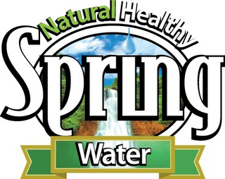 NATURAL HEALTHY SPRING WATER logo