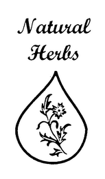 NATURAL HERBS logo