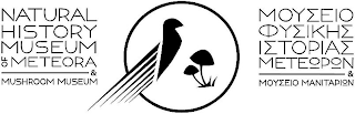 NATURAL HISTORY MUSEUM OF METEORA & MUSHROOM MUSEUM logo