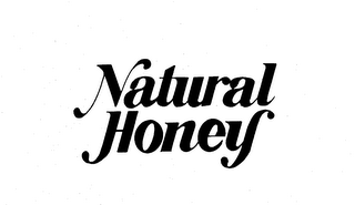 NATURAL HONEY logo