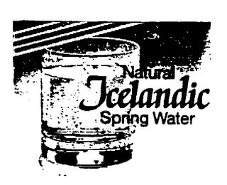 NATURAL ICELANDIC SPRING WATER logo