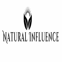 NATURAL INFLUENCE logo