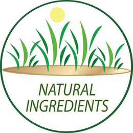 NATURAL INGREDIENTS logo