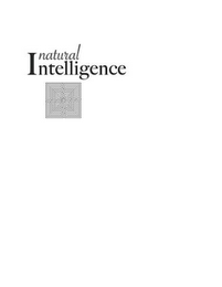 NATURAL INTELLIGENCE logo