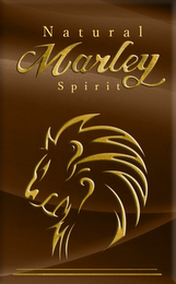 NATURAL MARLEY SPIRIT logo
