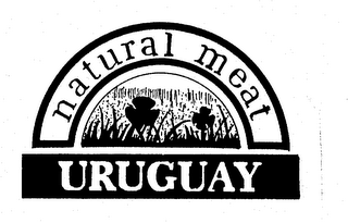 NATURAL MEAT URUGUAY logo