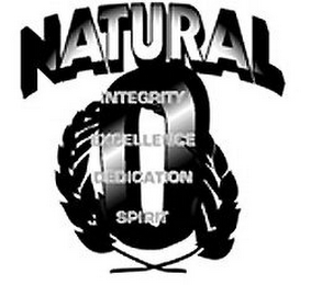 NATURAL O INTEGRITY EXCELLENCE DEDICATION SPIRIT logo
