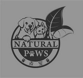 NATURAL P WS logo