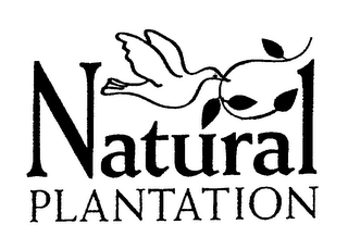 NATURAL PLANTATION logo