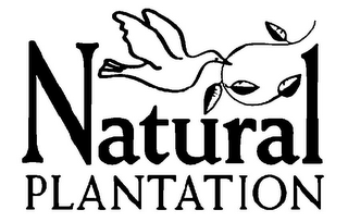 NATURAL PLANTATION logo