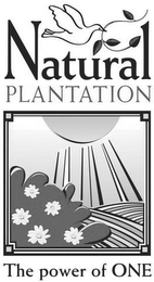 NATURAL PLANTATION THE POWER OF ONE logo