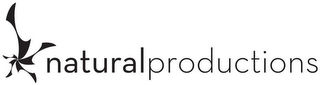 NATURAL PRODUCTIONS logo