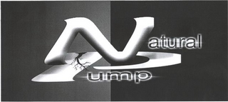 NATURAL PUMP logo