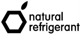 NATURAL REFRIGERANT logo