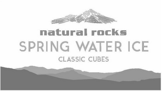 NATURAL ROCKS SPRING WATER ICE CLASSIC CUBES logo