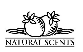 NATURAL SCENTS logo