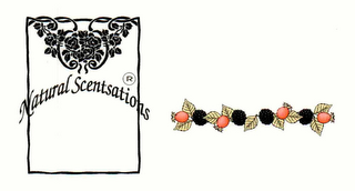 NATURAL SCENTSATIONS logo