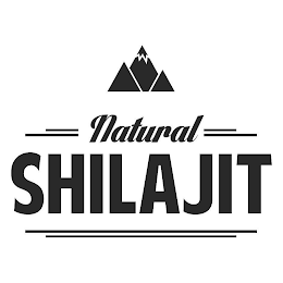NATURAL SHILAJIT logo