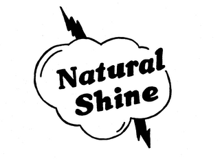 NATURAL SHINE logo