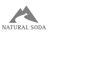 NATURAL SODA logo