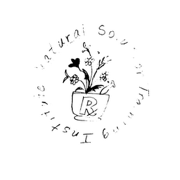 NATURAL SOLUTION TRAINING INSTITUTE logo