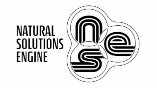 NATURAL SOLUTIONS ENGINE NSE logo