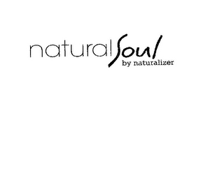 NATURAL SOUL BY NATURALIZER logo
