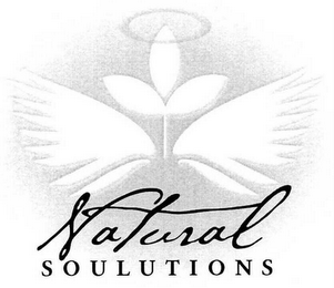 NATURAL SOULUTIONS logo