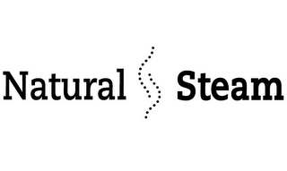 NATURAL STEAM logo
