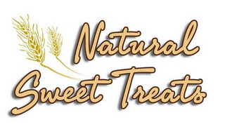 NATURAL SWEET TREATS logo