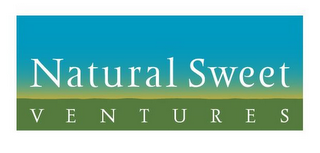 NATURAL SWEET VENTURES logo