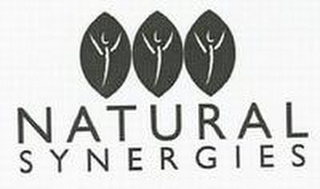 NATURAL SYNERGIES logo
