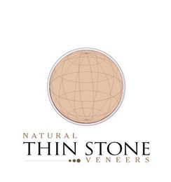 NATURAL THIN STONE VENEERS logo