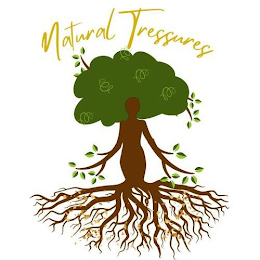 NATURAL TRESSURES logo