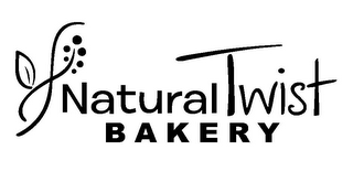 NATURAL TWIST BAKERY logo