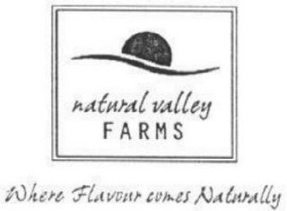 NATURAL VALLEY FARMS logo