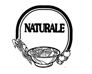 NATURALE logo