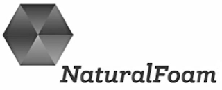 NATURALFOAM logo
