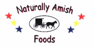 NATURALLY AMISH FOODS logo