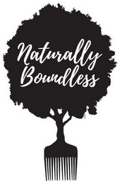 NATURALLY BOUNDLESS logo