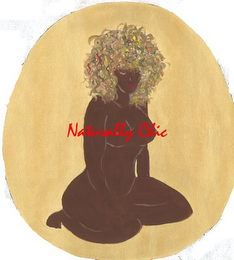 NATURALLY CHIC logo
