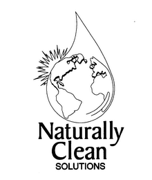 NATURALLY CLEAN SOLUTIONS logo