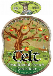 NATURALLY GLUTEN FREE SERVE CHILLED CA CRV FL 5 HI,IA,ME100% FERMENTED APPLE CIDER THIRSTY CELT TRADITIONAL FRENCH HARD CIDER PRODUCED IN BRITTANY SINCE 1920 logo