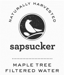 NATURALLY HARVESTED SAPSUCKER MAPLE TREE FILTERED WATER logo